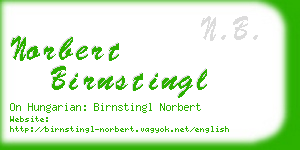 norbert birnstingl business card